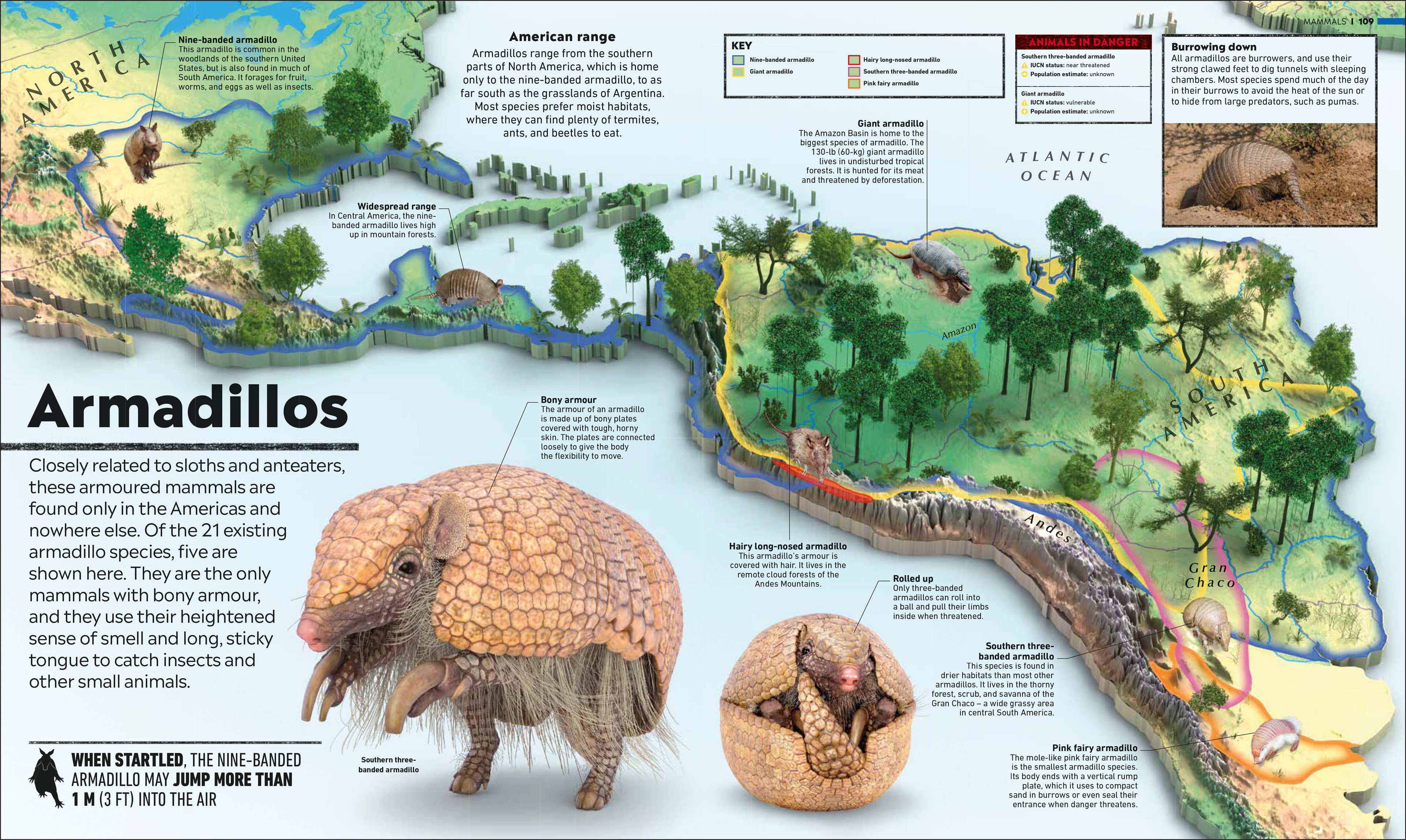 Where on Earth? Atlas Collection-Spread, Image, (PRHC, Design, Do, Not, Use)-2