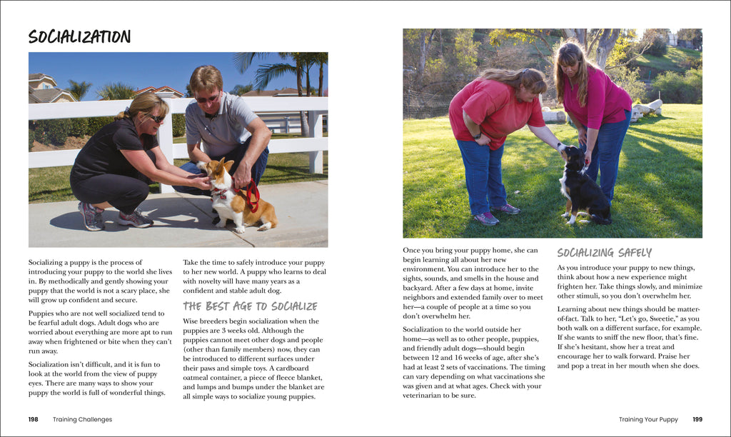 How to Train Your Dog-Spread, Image, (PRHC, Design, Do, Not, Use)-7