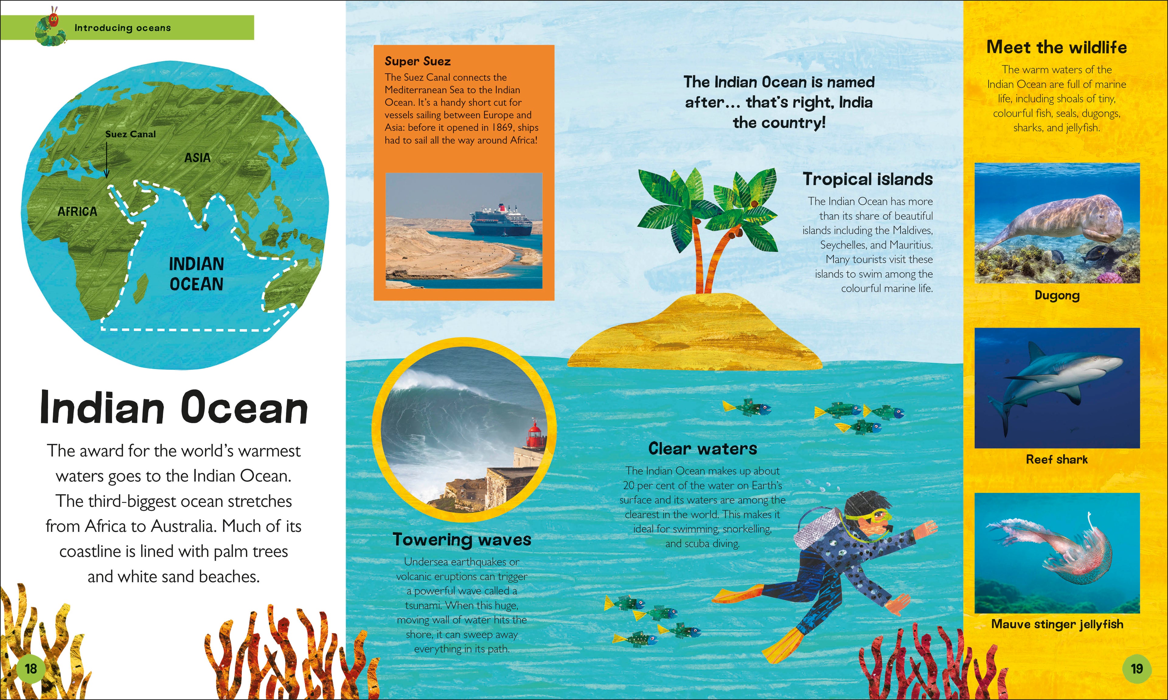 The Very Hungry Caterpillar's Very First Ocean Encyclopedia-Spread, Image, (PRHC, Design, Do, Not, Use)-1