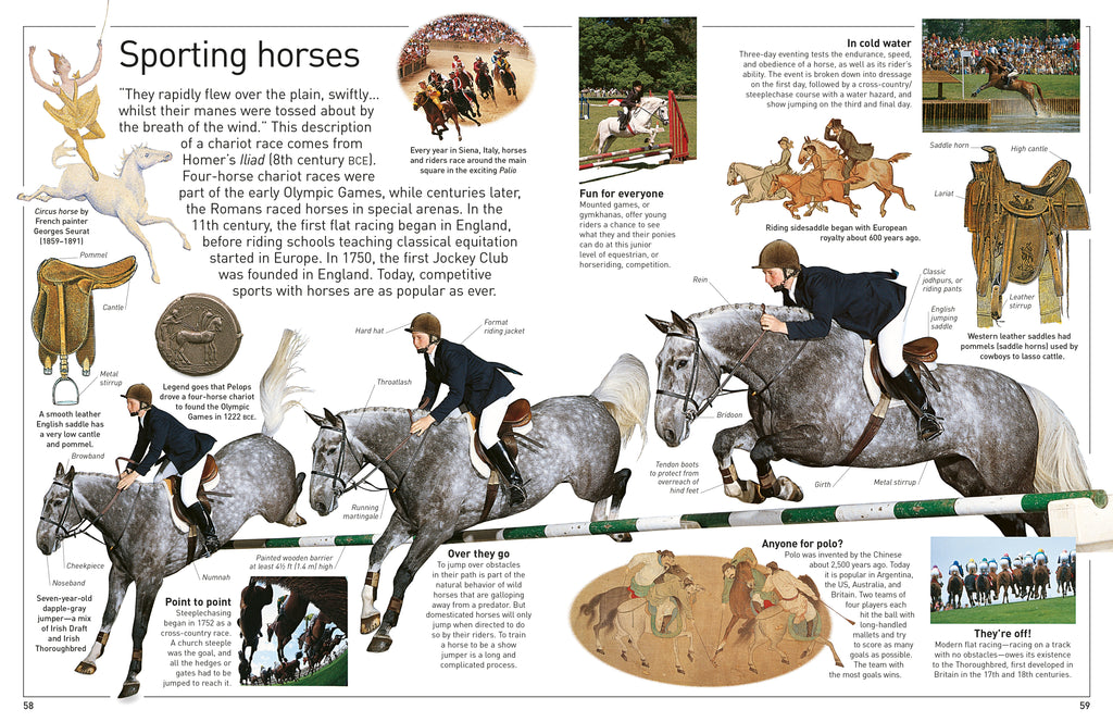 DK Eyewitness Books: Horse