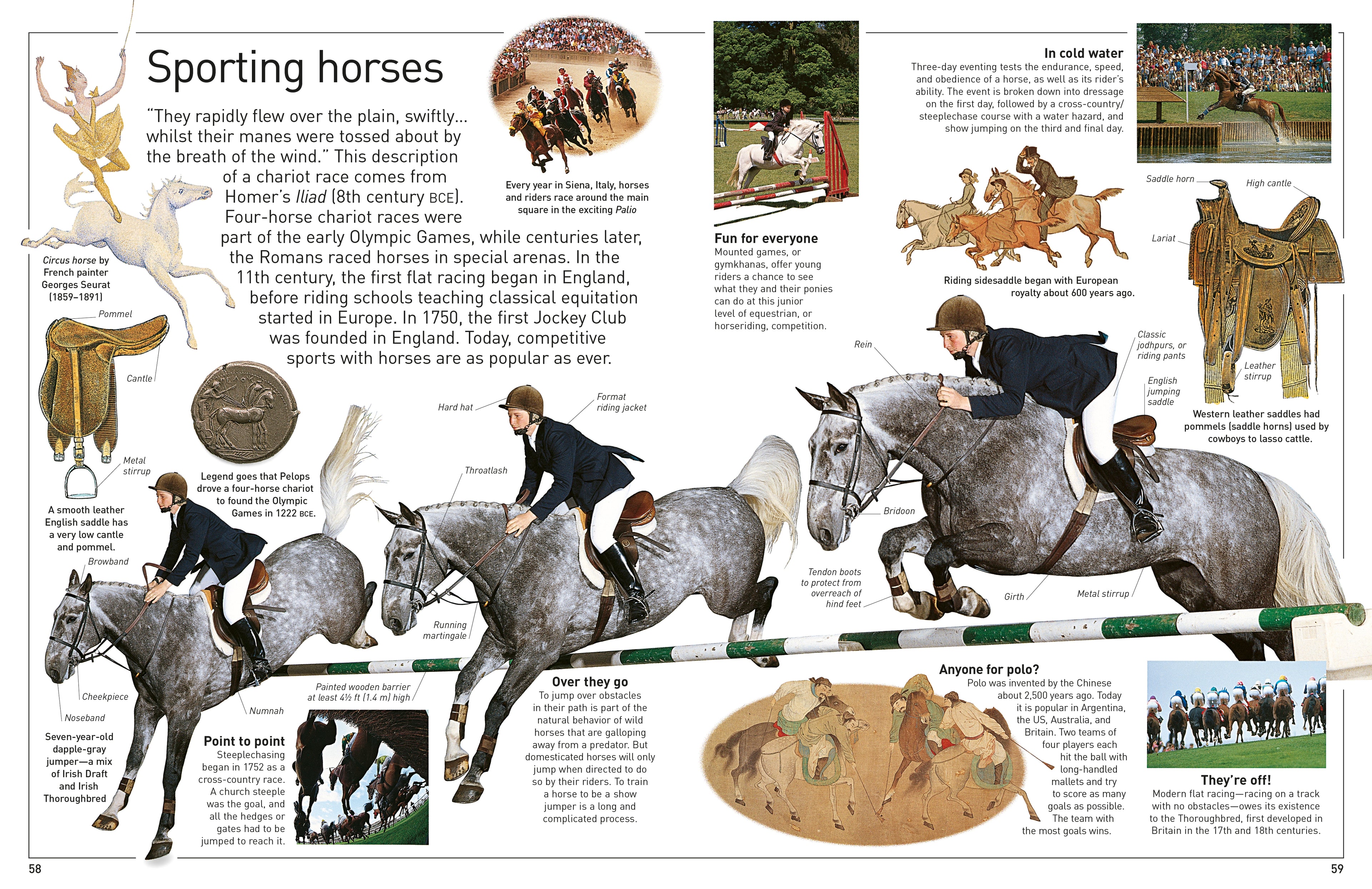 DK Eyewitness Books: Horse