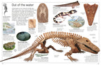 DK Eyewitness Books: Fossil
