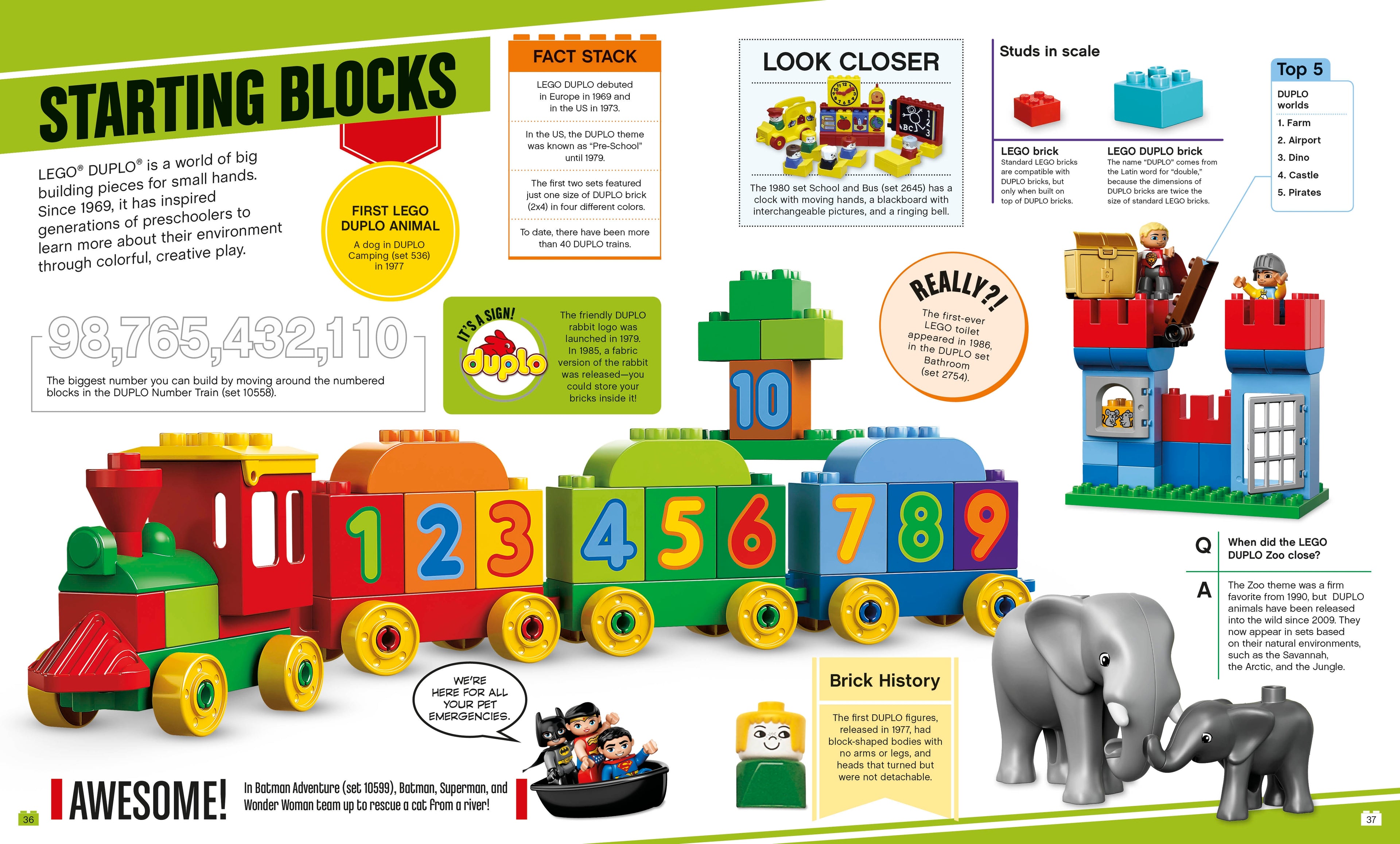 LEGO Absolutely Everything You Need to Know