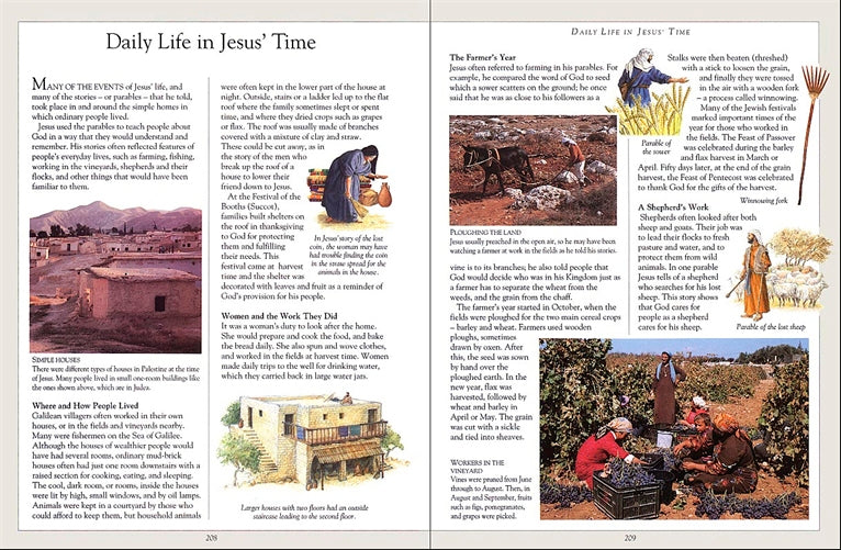 The Children's Illustrated Bible