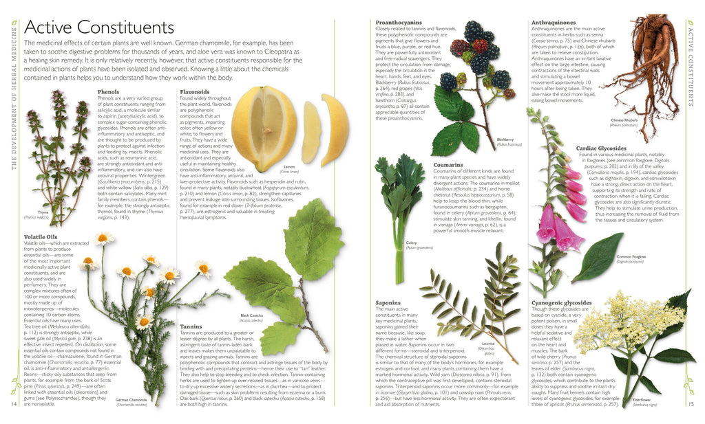 Encyclopedia of Herbal Medicine