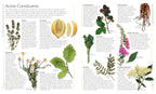 Encyclopedia of Herbal Medicine