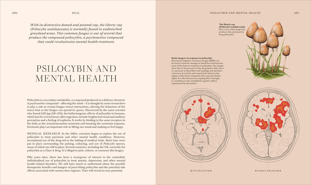 Fungi-Spread, Image, (PRHC, Design, Do, Not, Use)-6