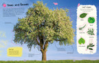 Ultimate Sticker Book Trees and Leaves-Spread, Image, (PRHC, Design, Do, Not, Use)-1