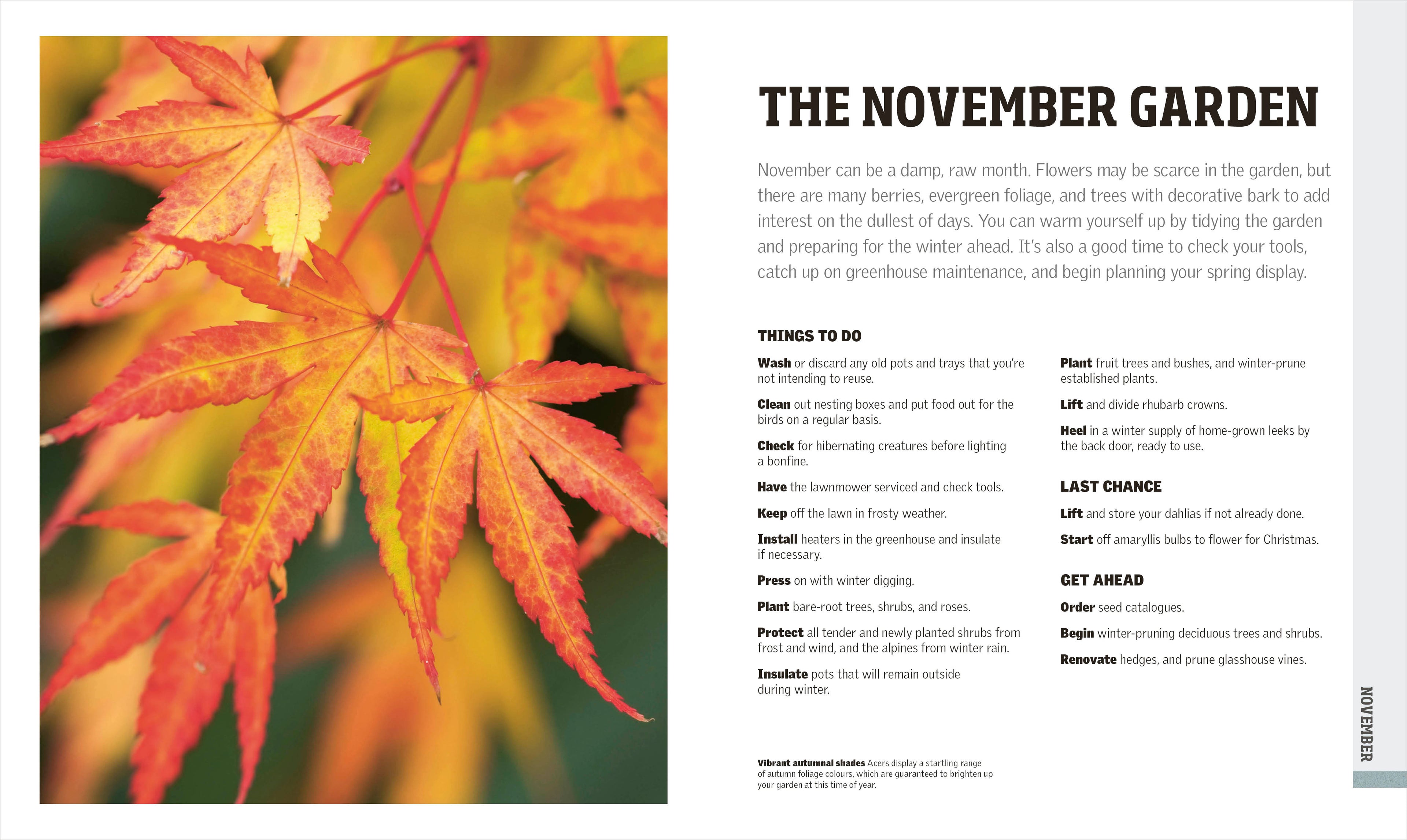 RHS Gardening Through the Year-Spread, Image, (PRHC, Design, Do, Not, Use)-6