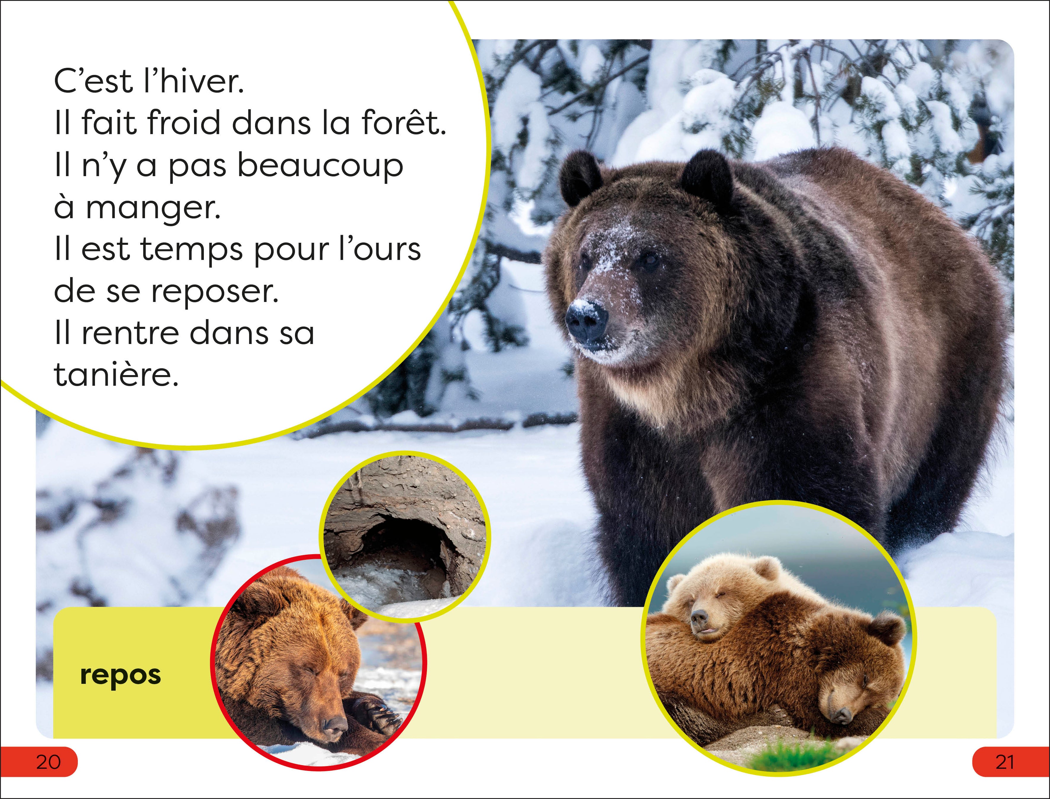 DK Super Readers Pre-level French Translation A Bear's Tale – Une Histoire d’ours