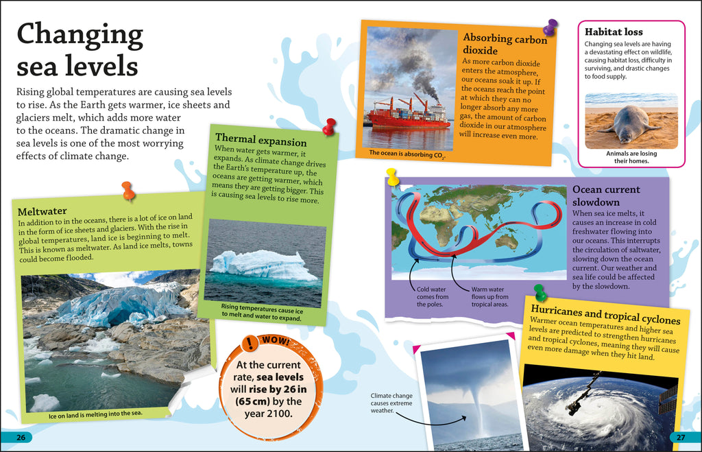 DK IB Collection: Primary Years Programme (PYP)-Spread, Image, (PRHC, Design, Do, Not, Use)-6