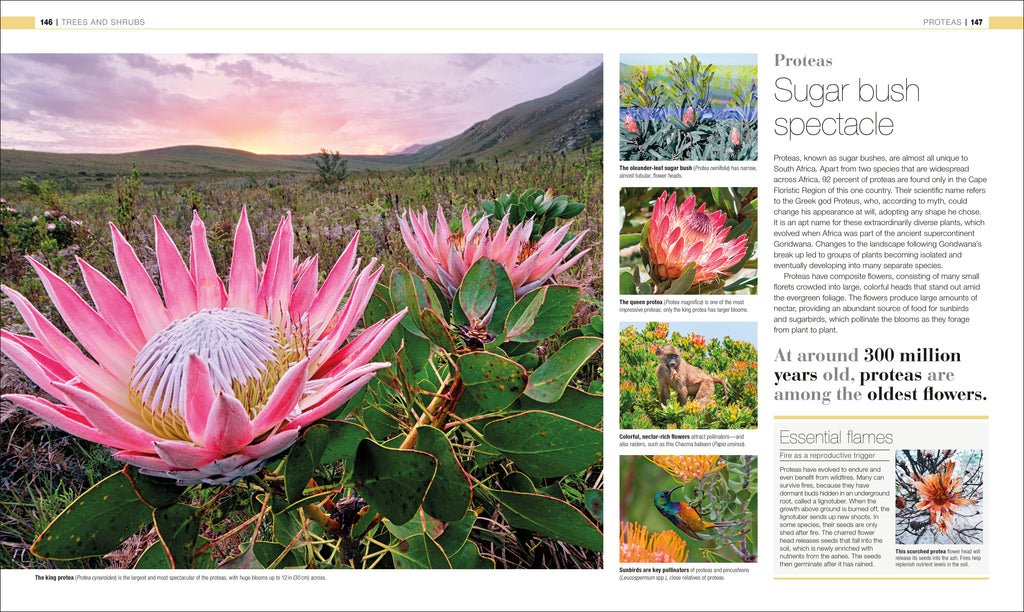 Plants and Fungi-Spread, Image, (PRHC, Design, Do, Not, Use)-4