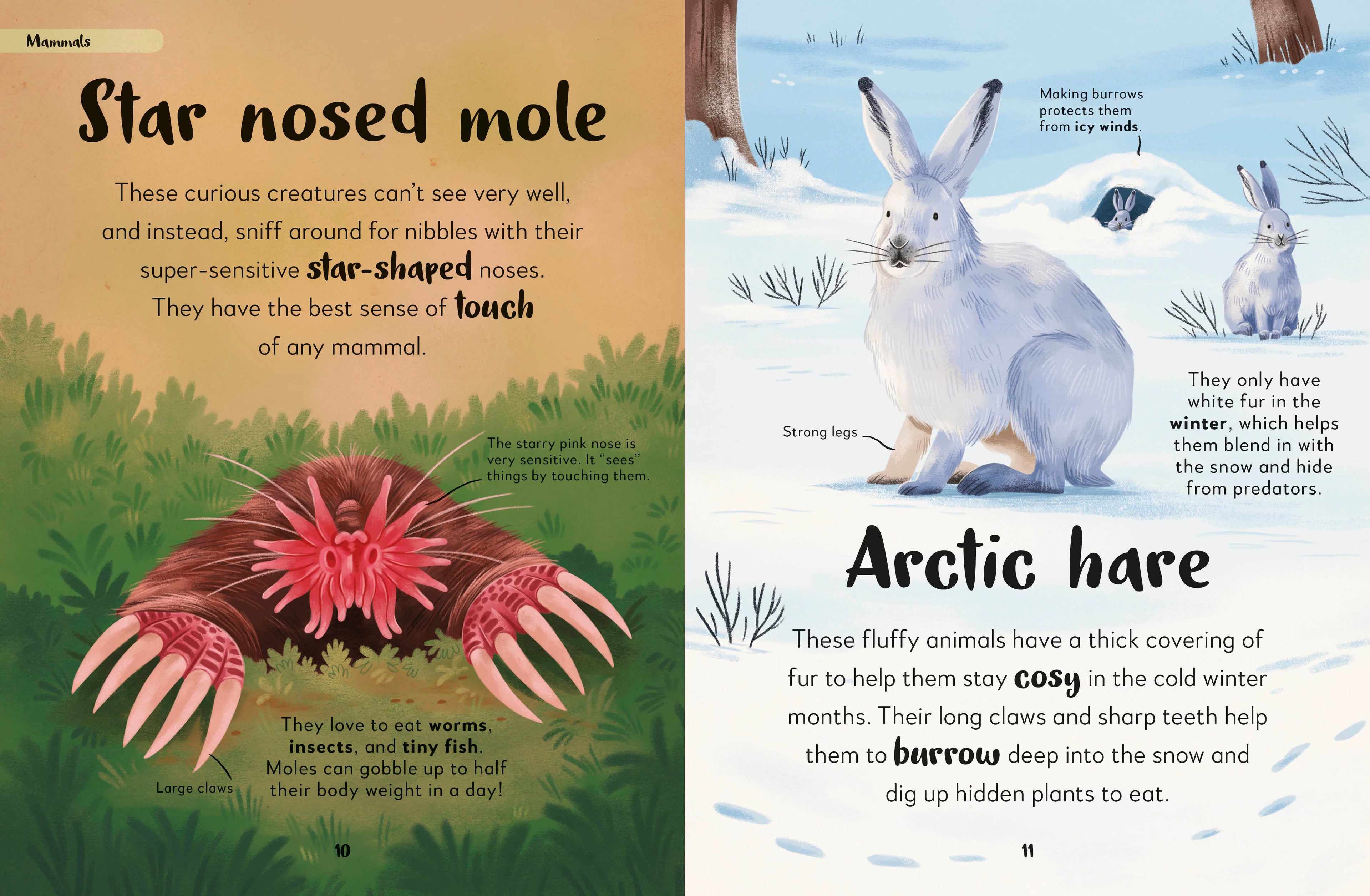 The Bedtime Book of Nighttime Animals