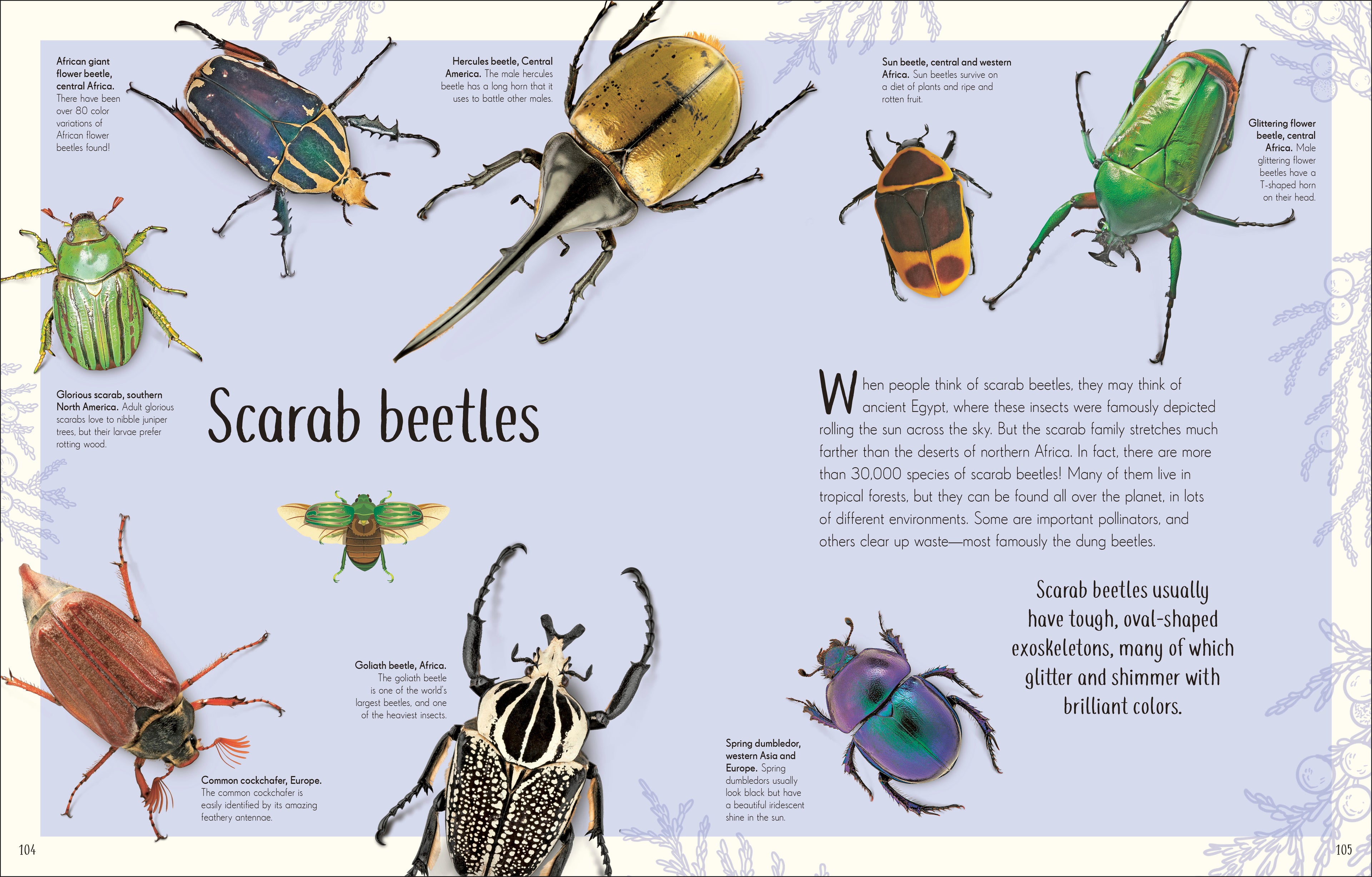 An Anthology of Remarkable Bugs-Spread, Image, (PRHC, Design, Do, Not, Use)-6