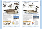 Birds of Western Canada 2nd Edition