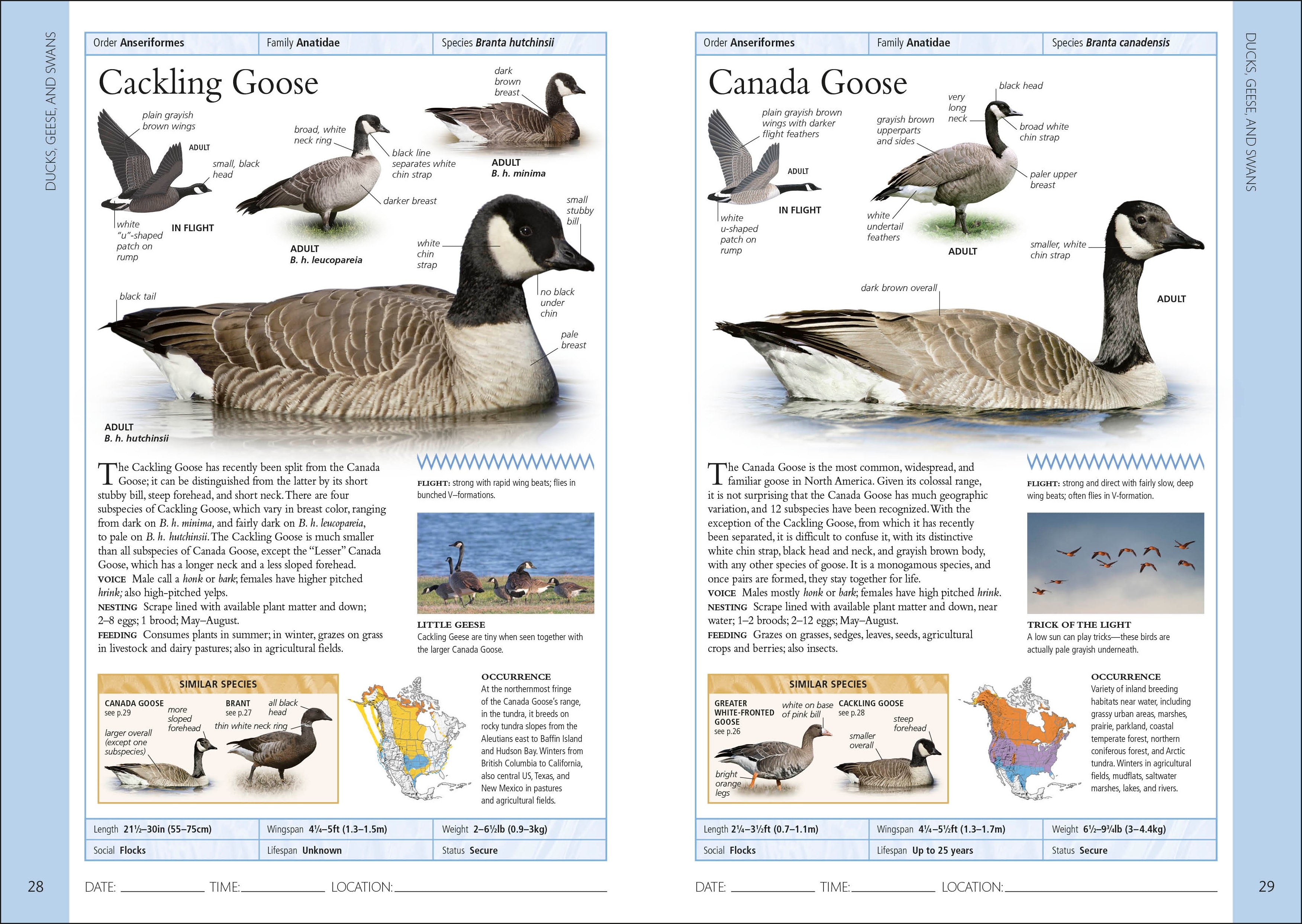 Birds of Western Canada 2nd Edition