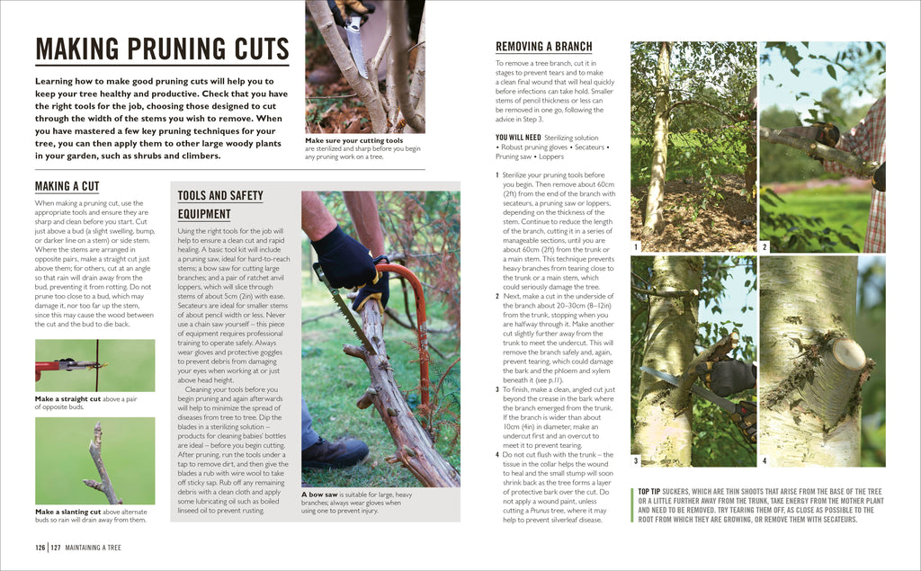 Grow Trees-Spread, Image, (PRHC, Design, Do, Not, Use)-6