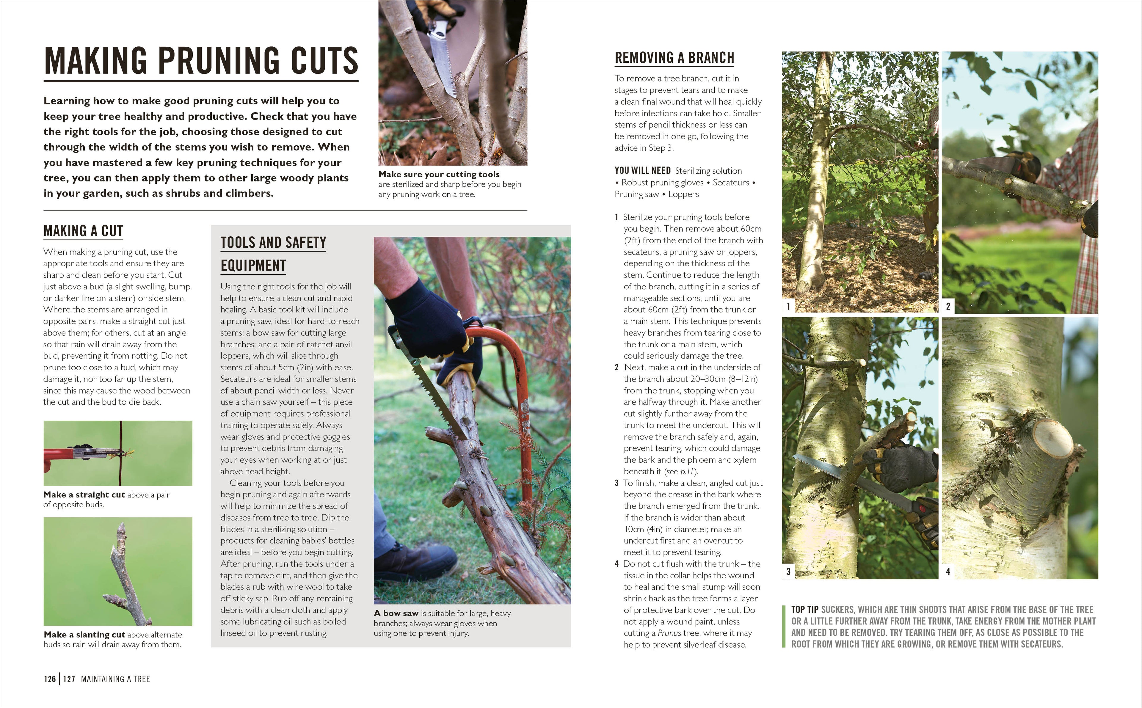 Grow Trees-Spread, Image, (PRHC, Design, Do, Not, Use)-6