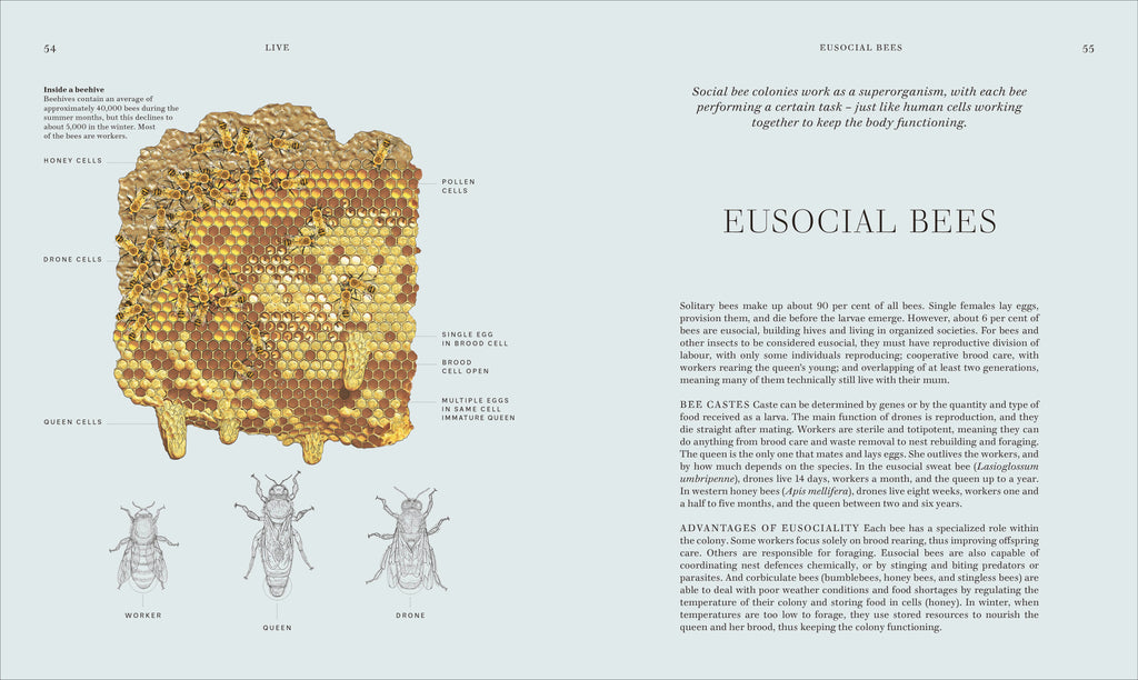RES Insects-Spread, Image, (PRHC, Design, Do, Not, Use)-4