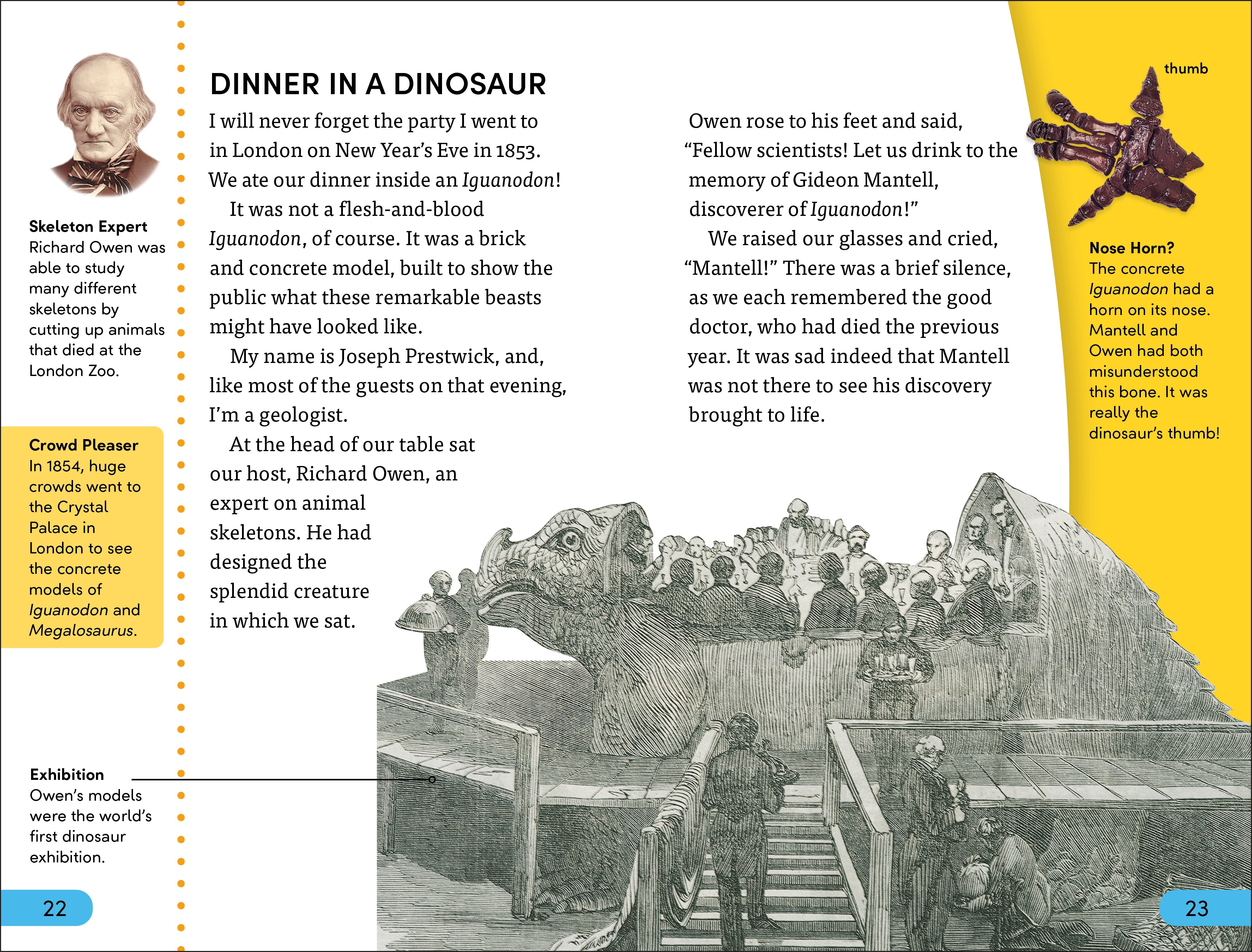 DK Super Readers Level 4 box set-Spread, Image, (PRHC, Design, Do, Not, Use)-2