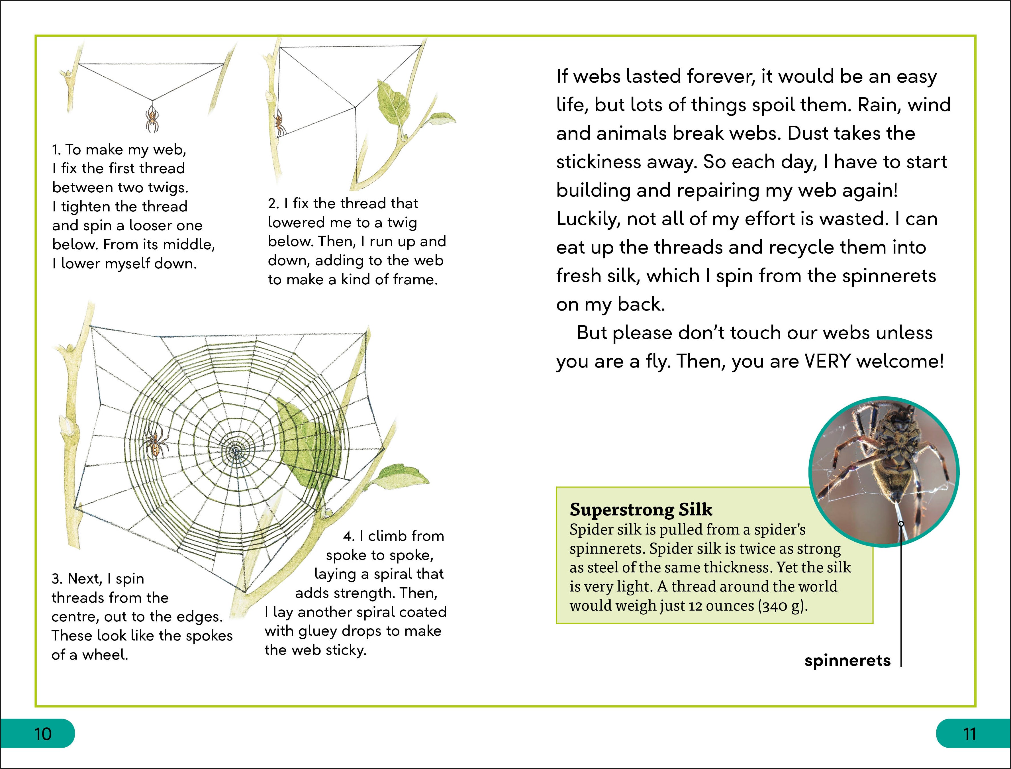 DK Super Readers Level 3 Spiders' Secrets