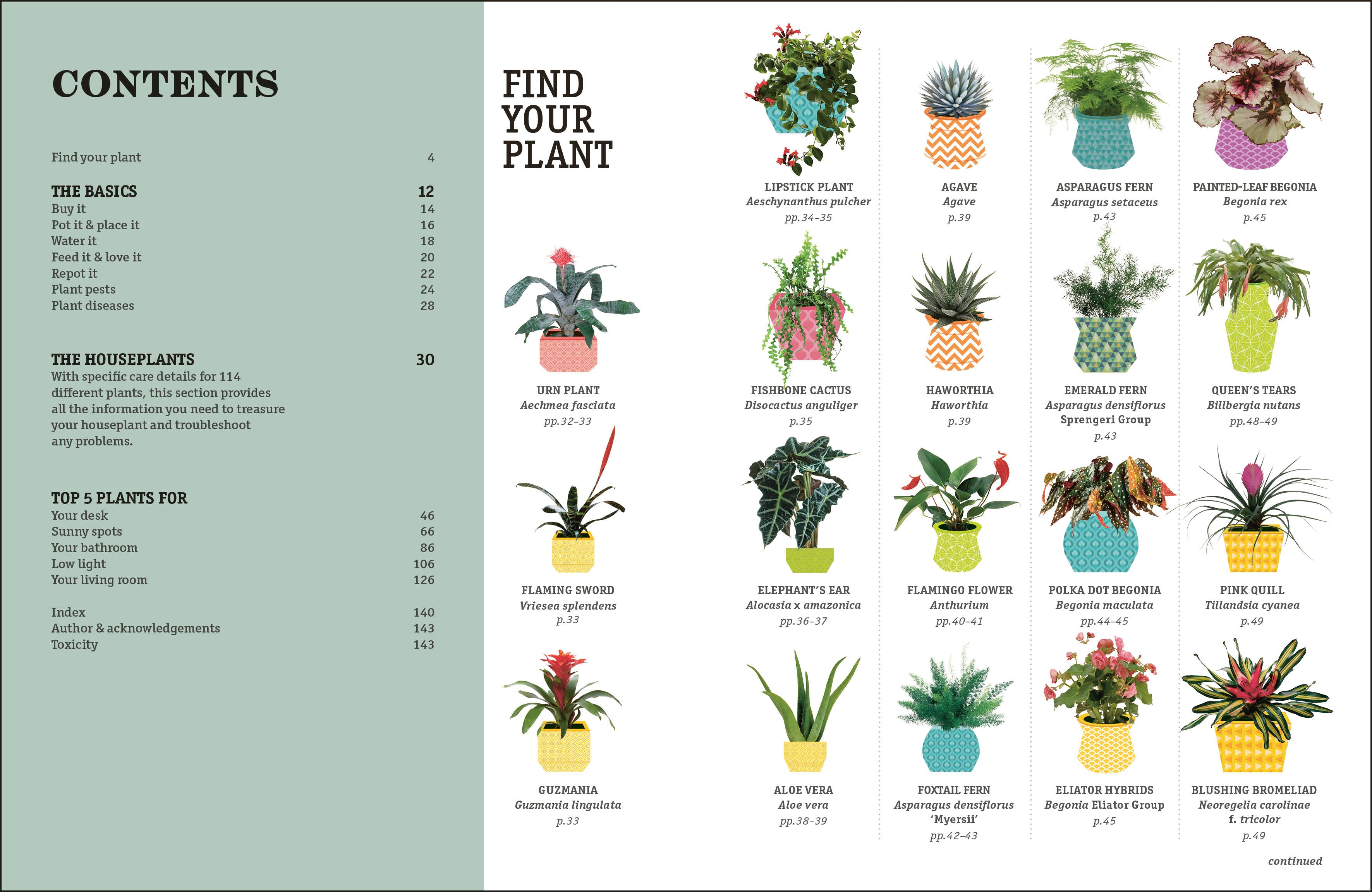 How Not to Kill Your Houseplant