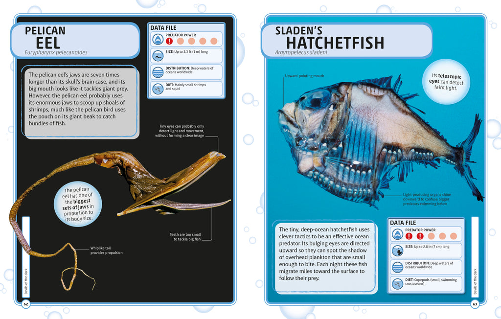 Sharks and Other Deadly Ocean Creatures Visual Encyclopedia