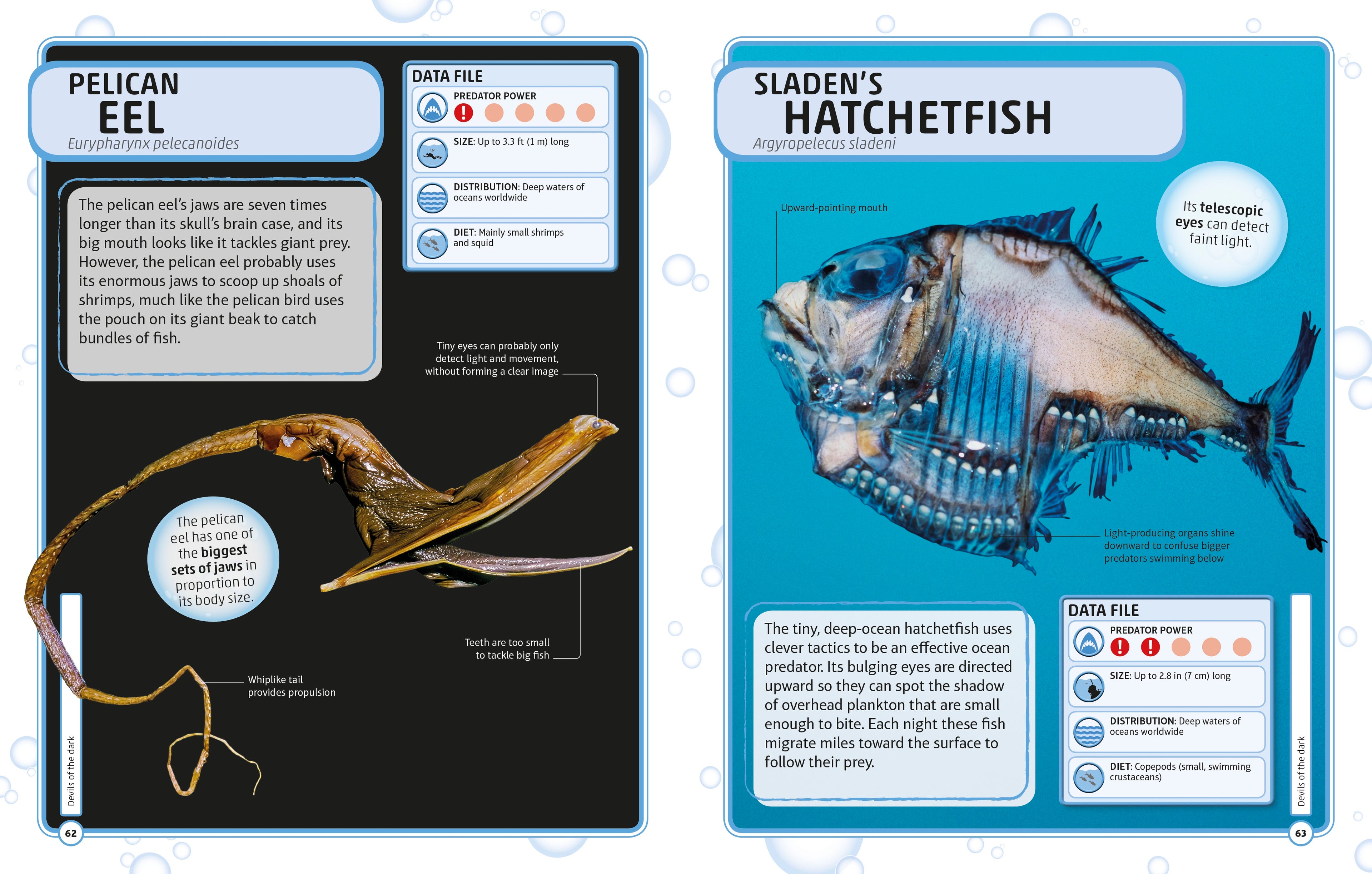 Sharks and Other Deadly Ocean Creatures Visual Encyclopedia