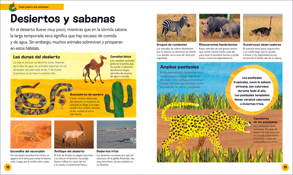 La oruga muy hambrienta Mi primera enciclopedia de animales (The Very Hungry Caterpillar's Very First Animal Encyclopedia)-Spread, Image, (PRHC, Design, Do, Not, Use)-1