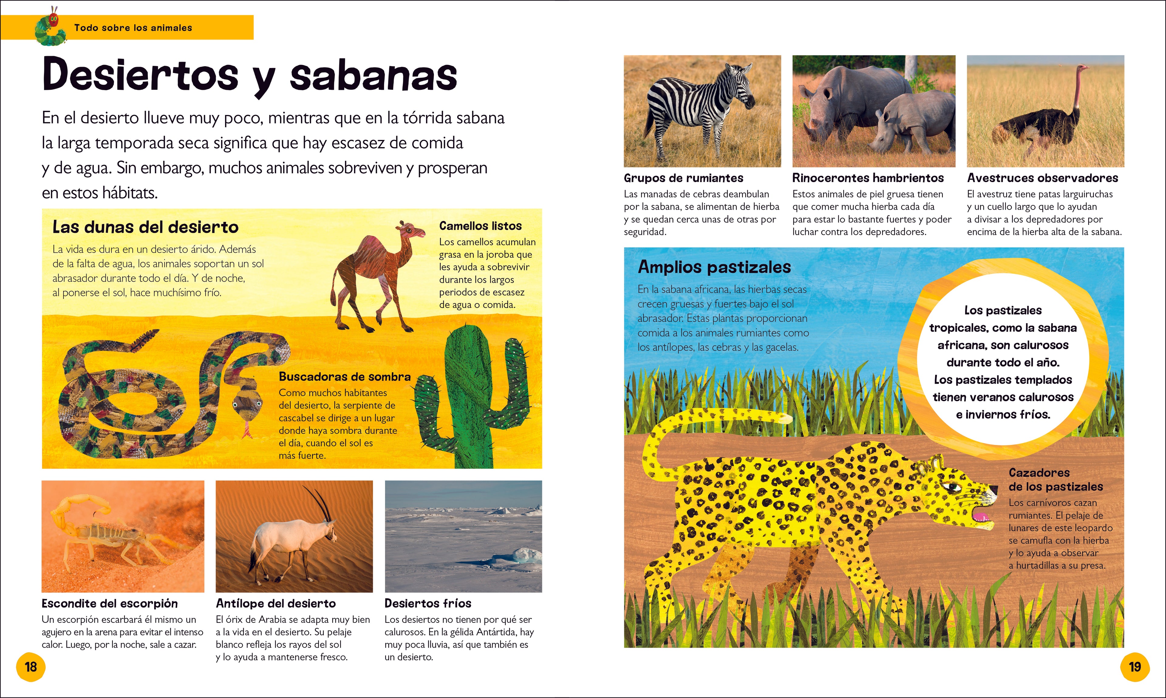 La oruga muy hambrienta Mi primera enciclopedia de animales (The Very Hungry Caterpillar's Very First Animal Encyclopedia)-Spread, Image, (PRHC, Design, Do, Not, Use)-1