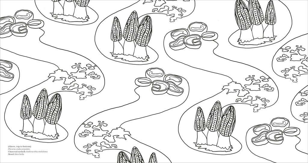 Fascinating Fungi Colouring Book-Spread, Image, (PRHC, Design, Do, Not, Use)-7