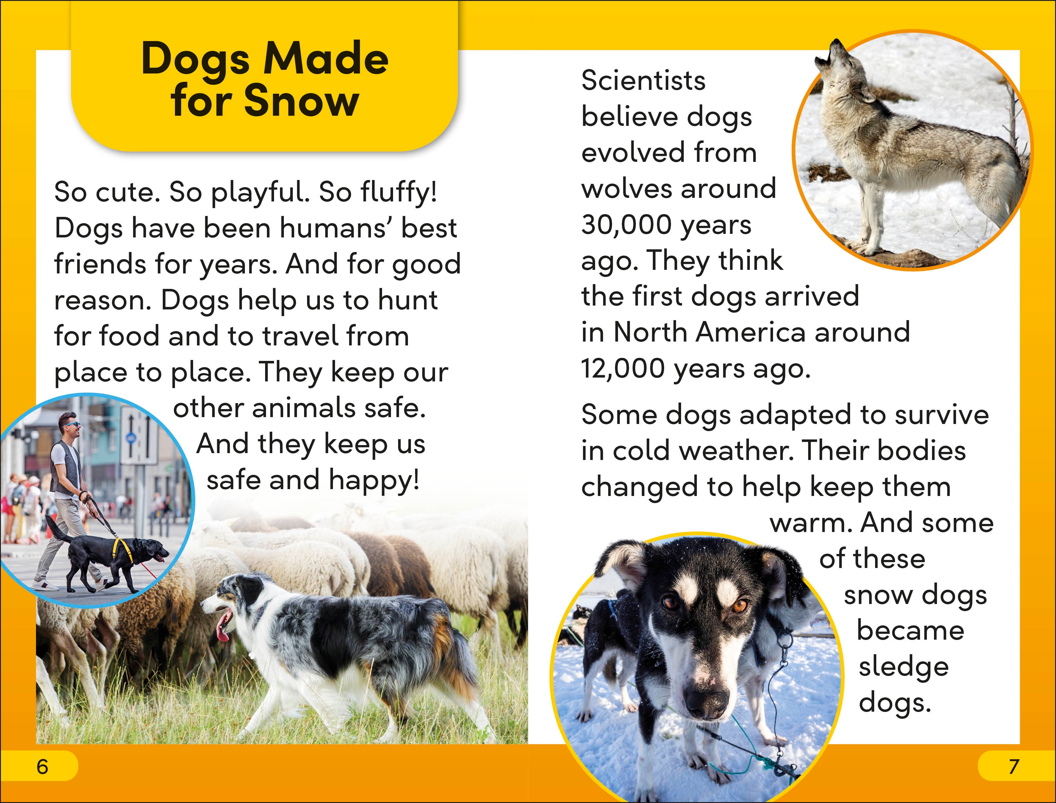 DK Super Readers Level 2 Snow Dogs