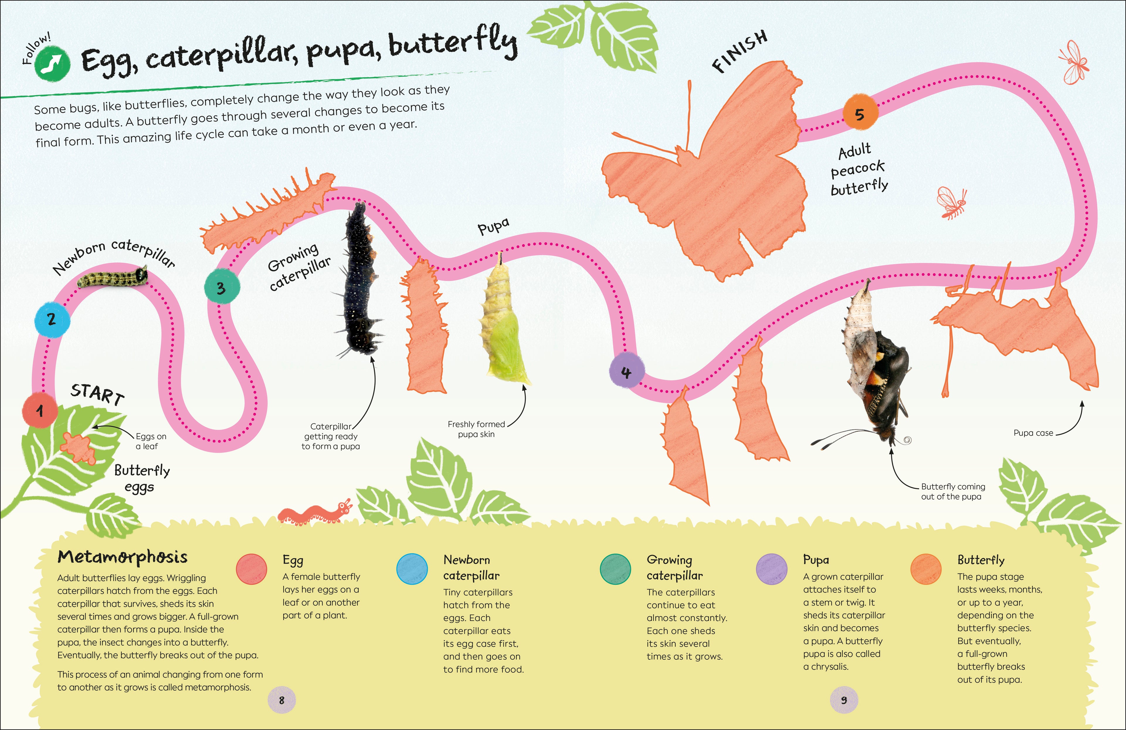 RHS Ultimate Sticker Book Garden Bugs