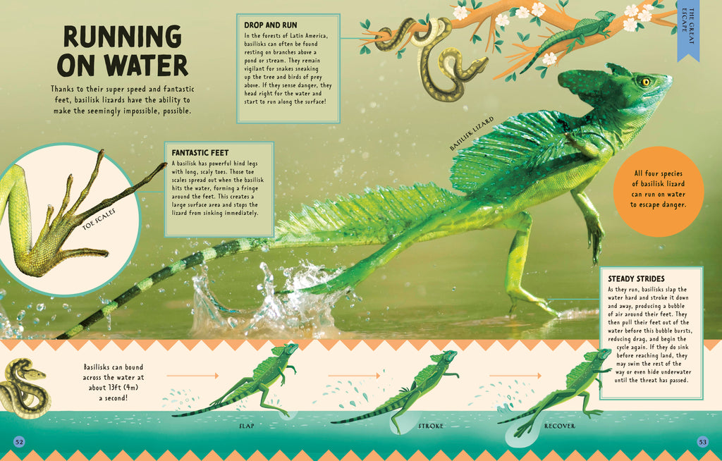 How Not to Get Eaten-Spread, Image, (PRHC, Design, Do, Not, Use)-6