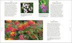 RHS A Plant for Every Day of the Year-spread image