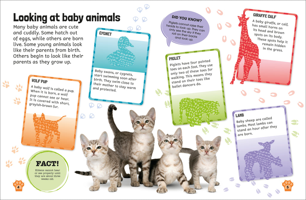 Sticker Encyclopedia Baby Animals