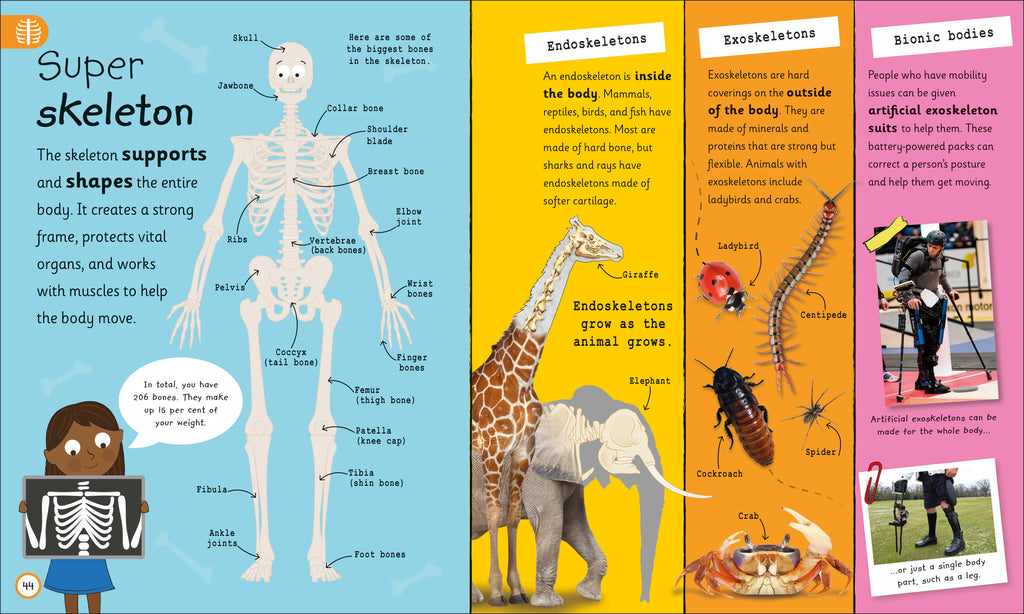 My Very Important Human Body Encyclopedia
