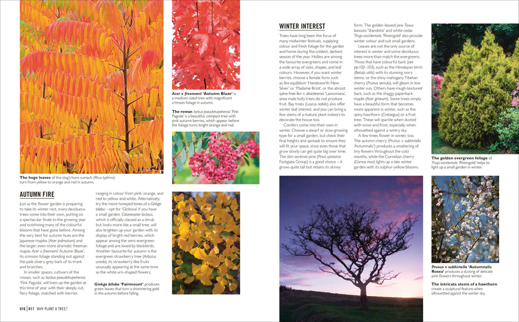 Grow Trees-Spread, Image, (PRHC, Design, Do, Not, Use)-3