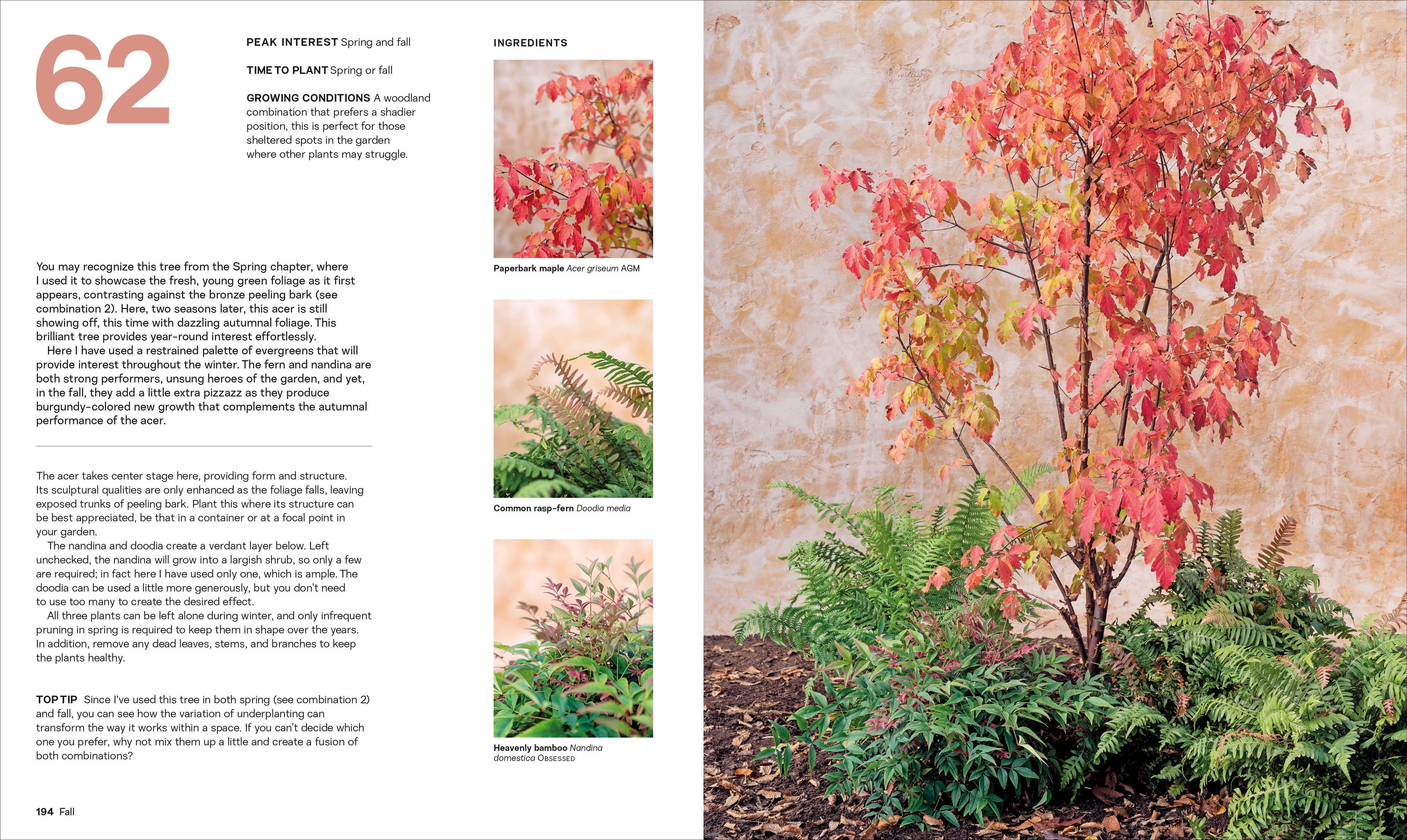 What Grows Together-Spread, Image, (PRHC, Design, Do, Not, Use)-7