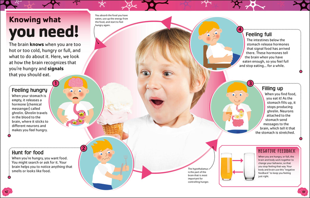 The Brain Book-Spread, Image, (PRHC, Design, Do, Not, Use)-3