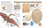 DK Eyewitness Books: Fossil