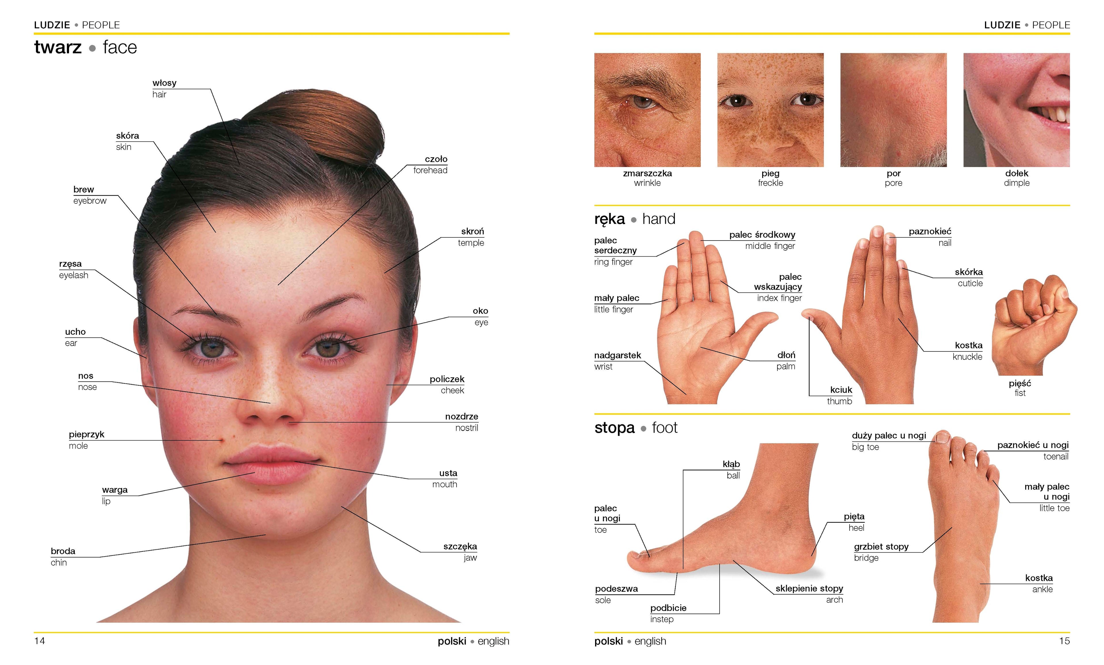 Polish-English Bilingual Visual Dictionary