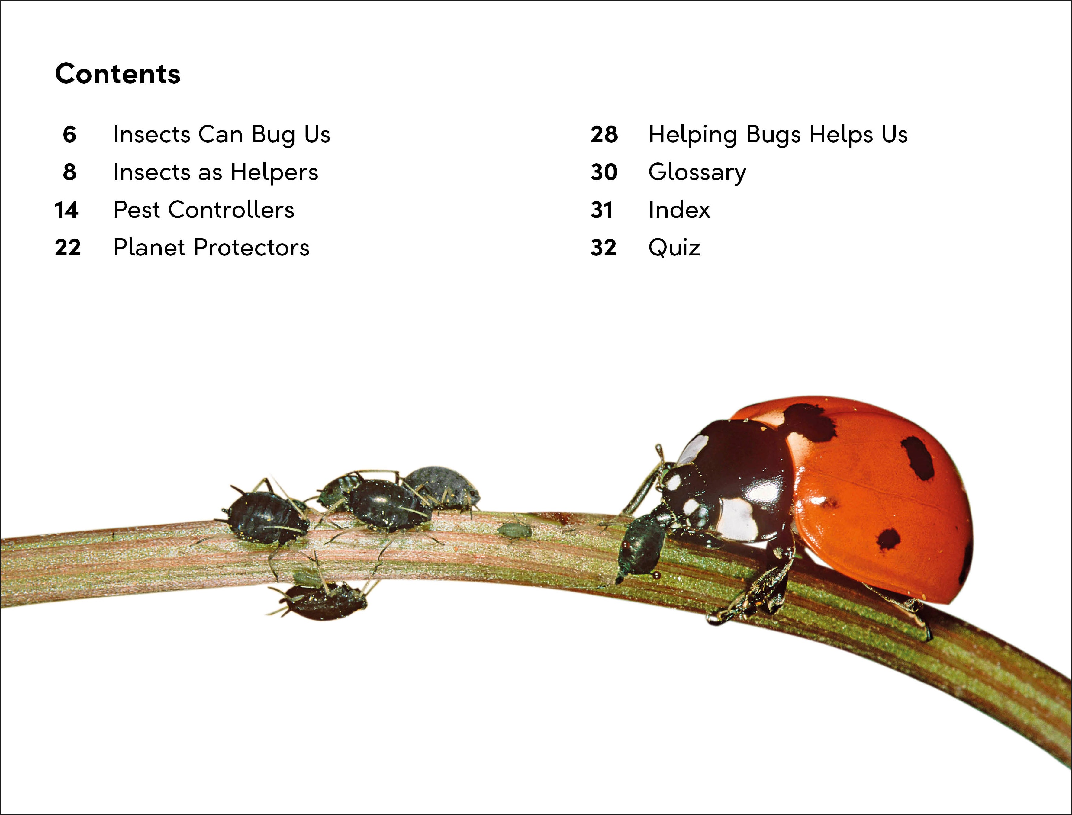 DK Super Readers Level 2 Bugs and Us