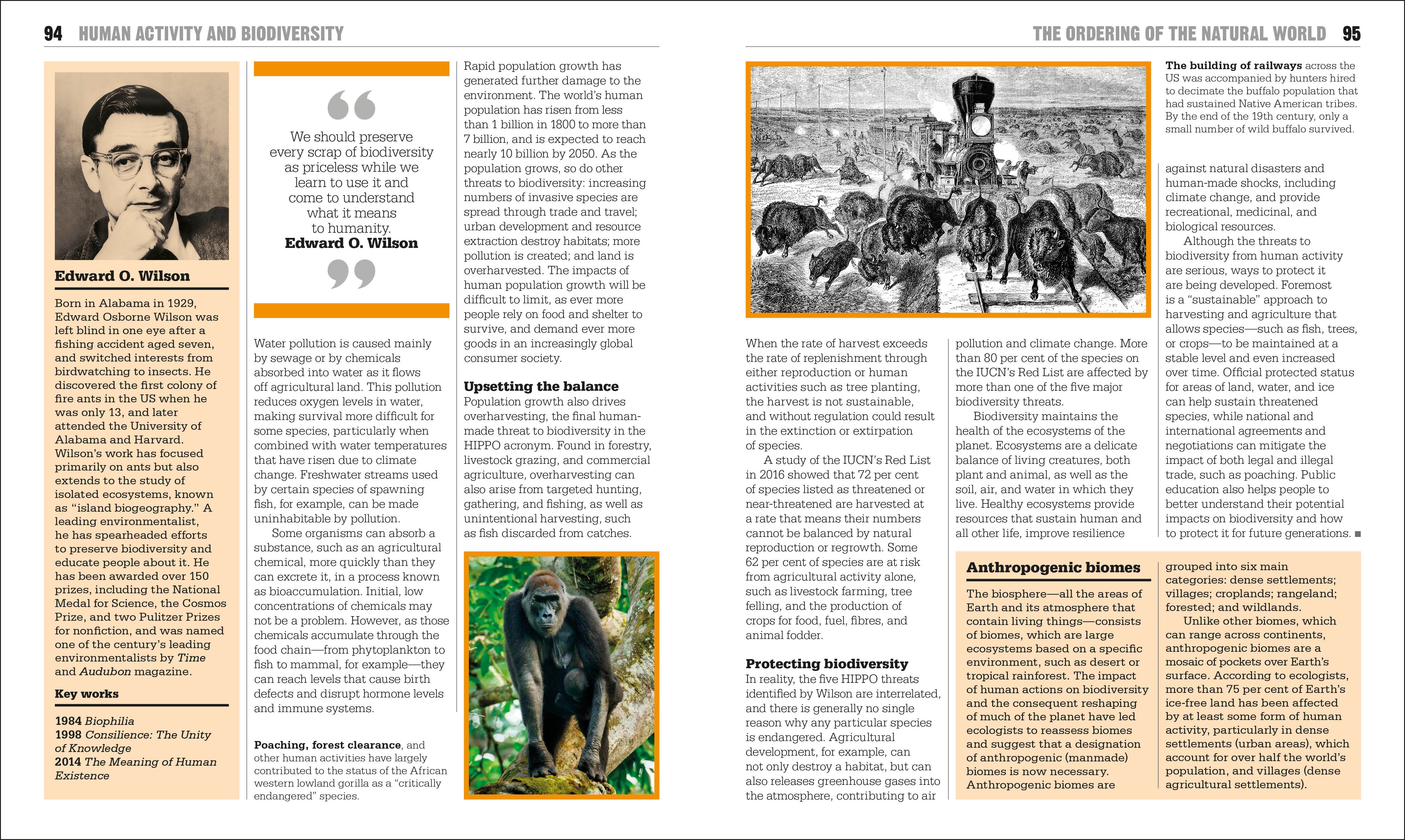 The Ecology Book – DK