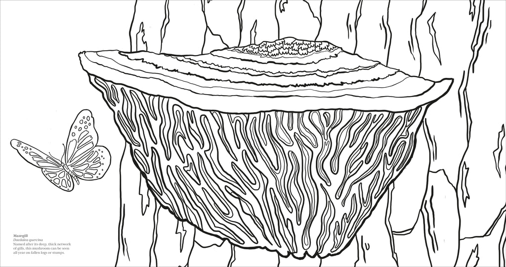 Fascinating Fungi Colouring Book-Spread, Image, (PRHC, Design, Do, Not, Use)-3