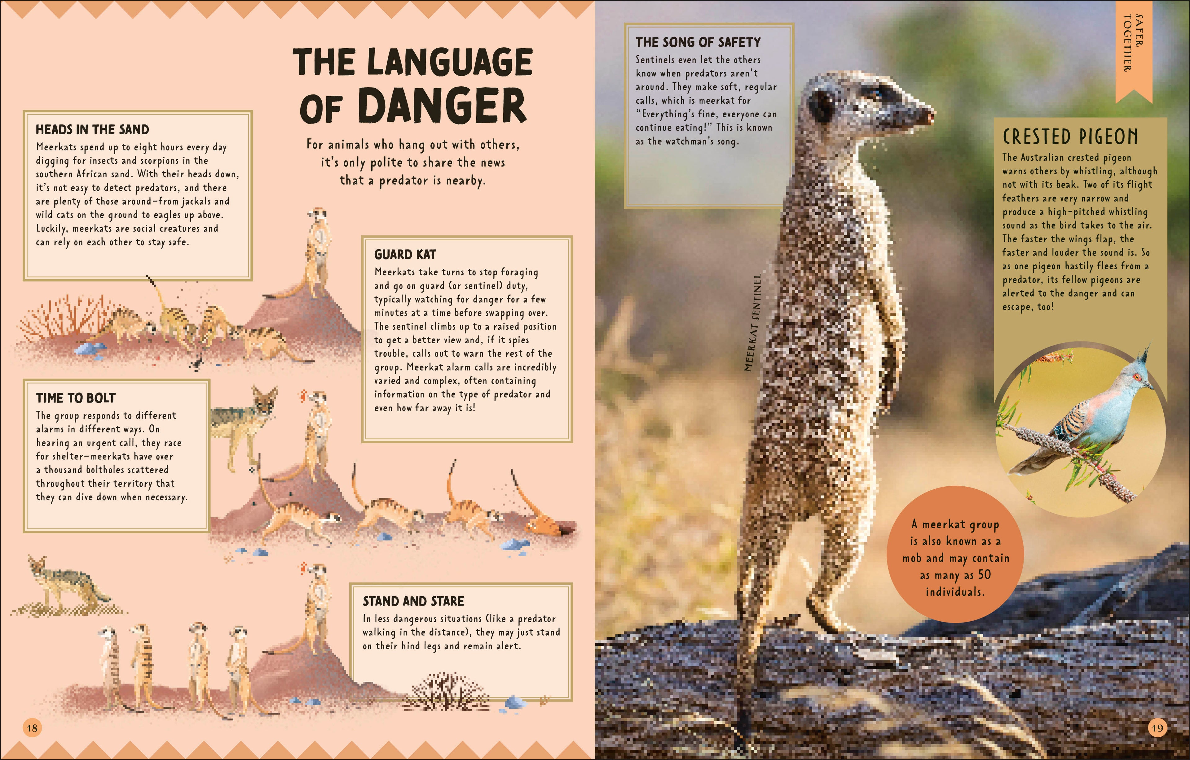 How Not to Get Eaten-Spread, Image, (PRHC, Design, Do, Not, Use)-1