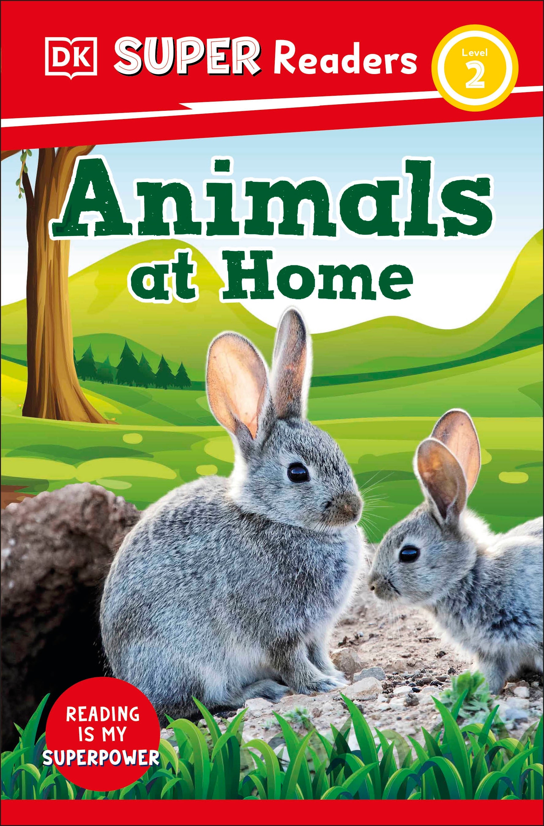 9780241592700-DK Super Readers Level 2 Animals at Home-Jacket Image