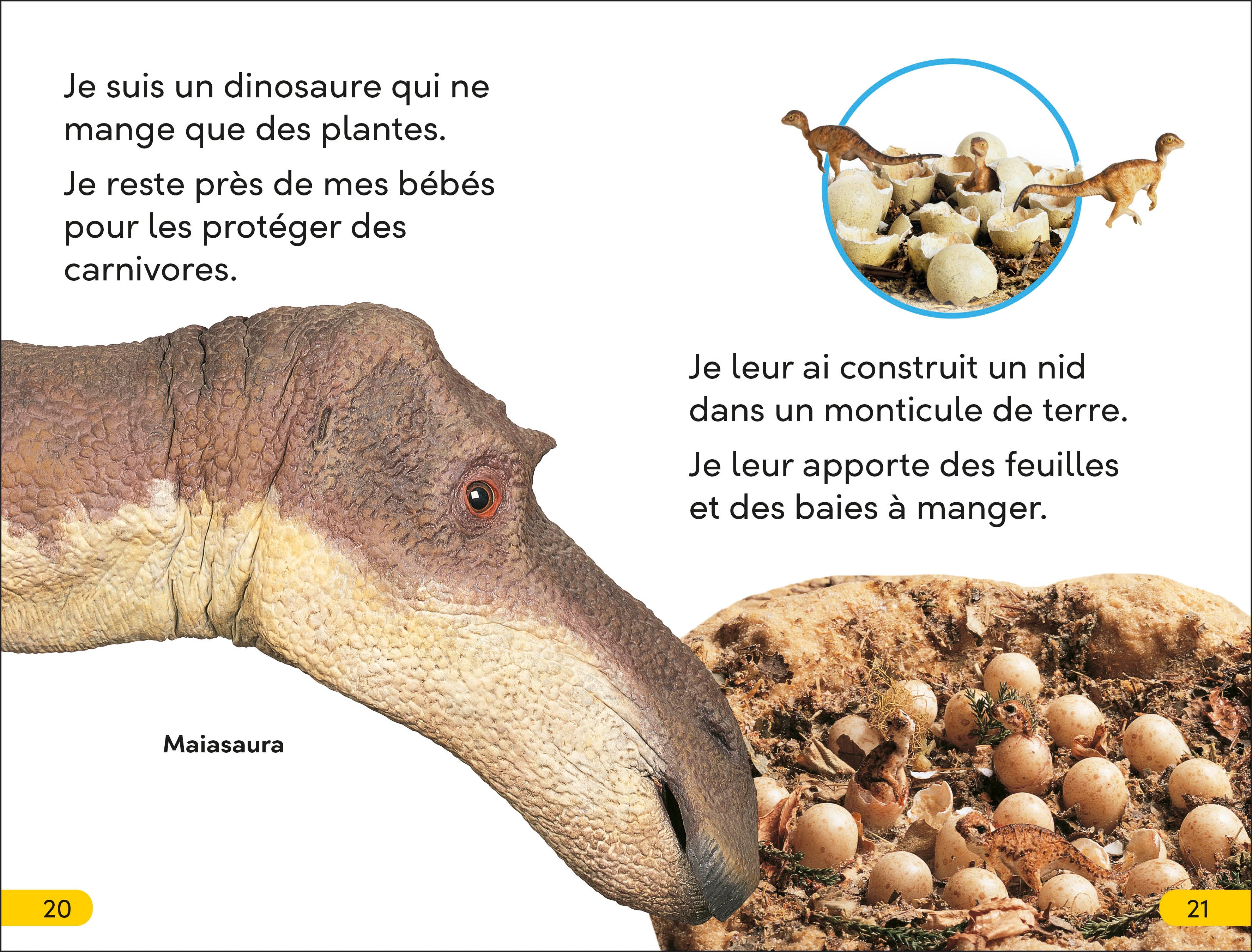 DK Super Readers Level 2 French Translation Dinosaur Dinners – Le Dîner des dinosaures