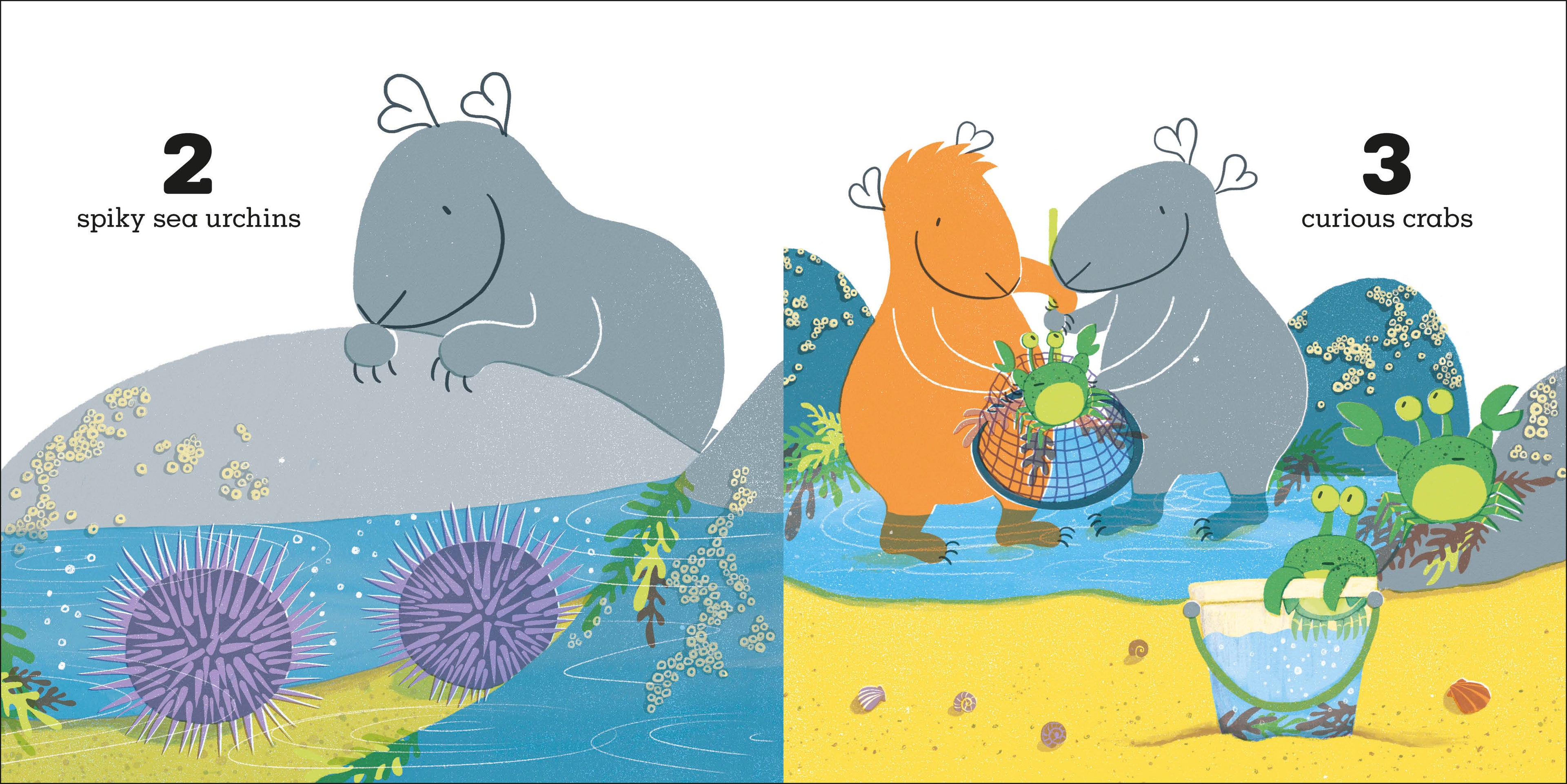 Guinea Pigs Go to the Beach