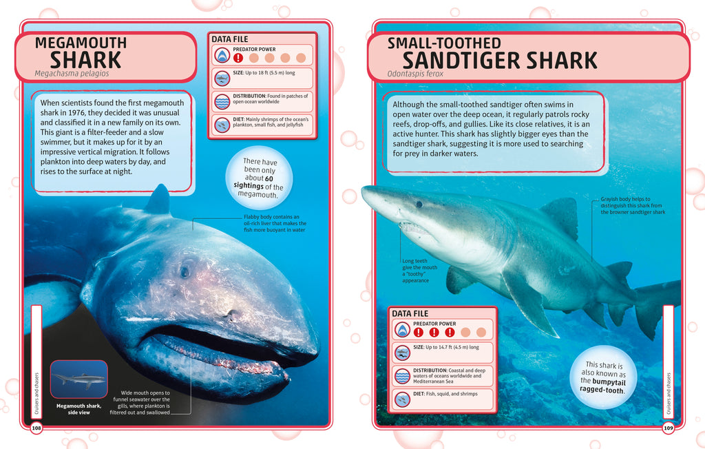 Sharks and Other Deadly Ocean Creatures Visual Encyclopedia
